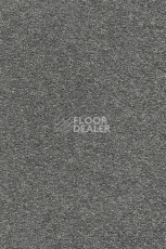 Ковролин AW Vivendi Punch 94 фото 1 | FLOORDEALER